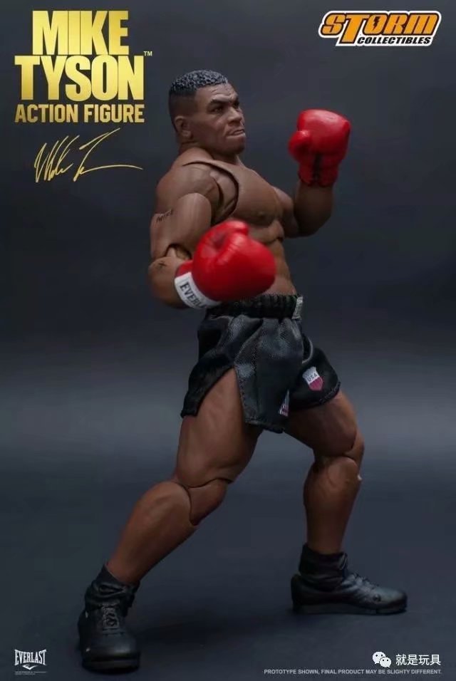 Storm Toys Boxing Tyson Boxing - Bandai Gundam Rg 评论和价格