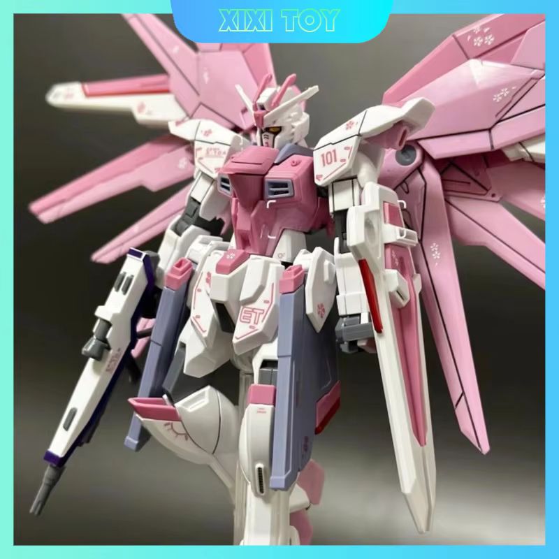 JMS HG 1/144 ZY-06 Freedom Ass - Bandai Gundam Rg 评论和价格