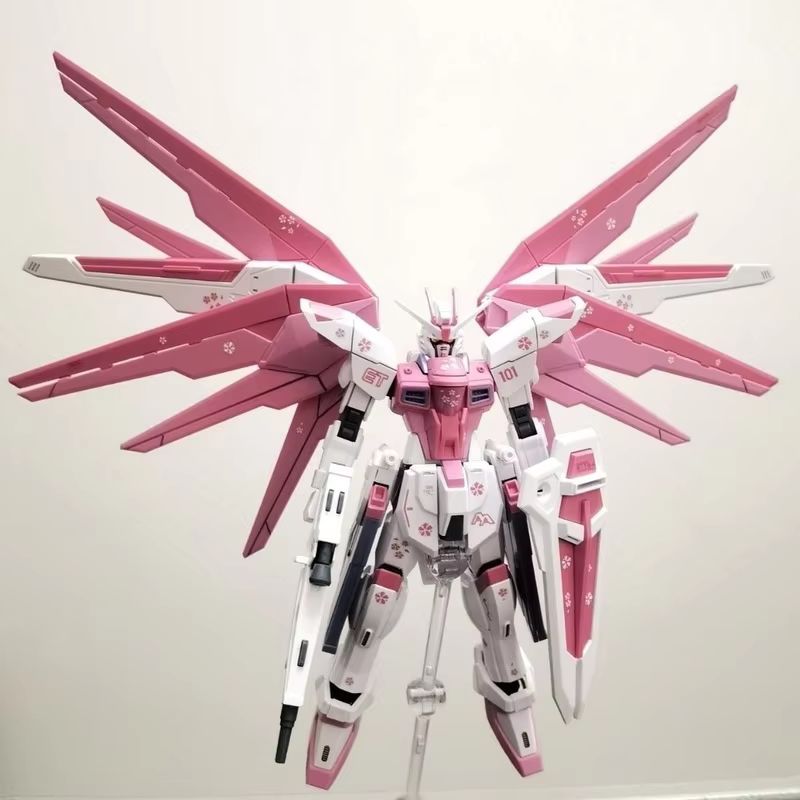 JMS HG 1/144 ZY-06 Freedom Ass - Bandai Gundam Rg 评论和价格