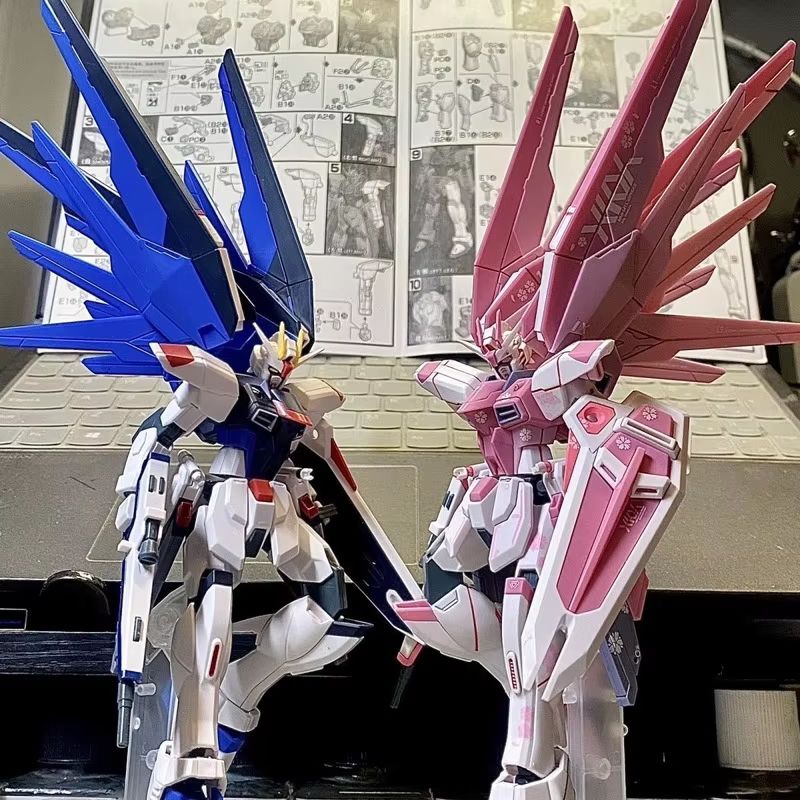 JMS HG 1/144 ZY-06 Freedom Ass - Bandai Gundam Rg 评论和价格